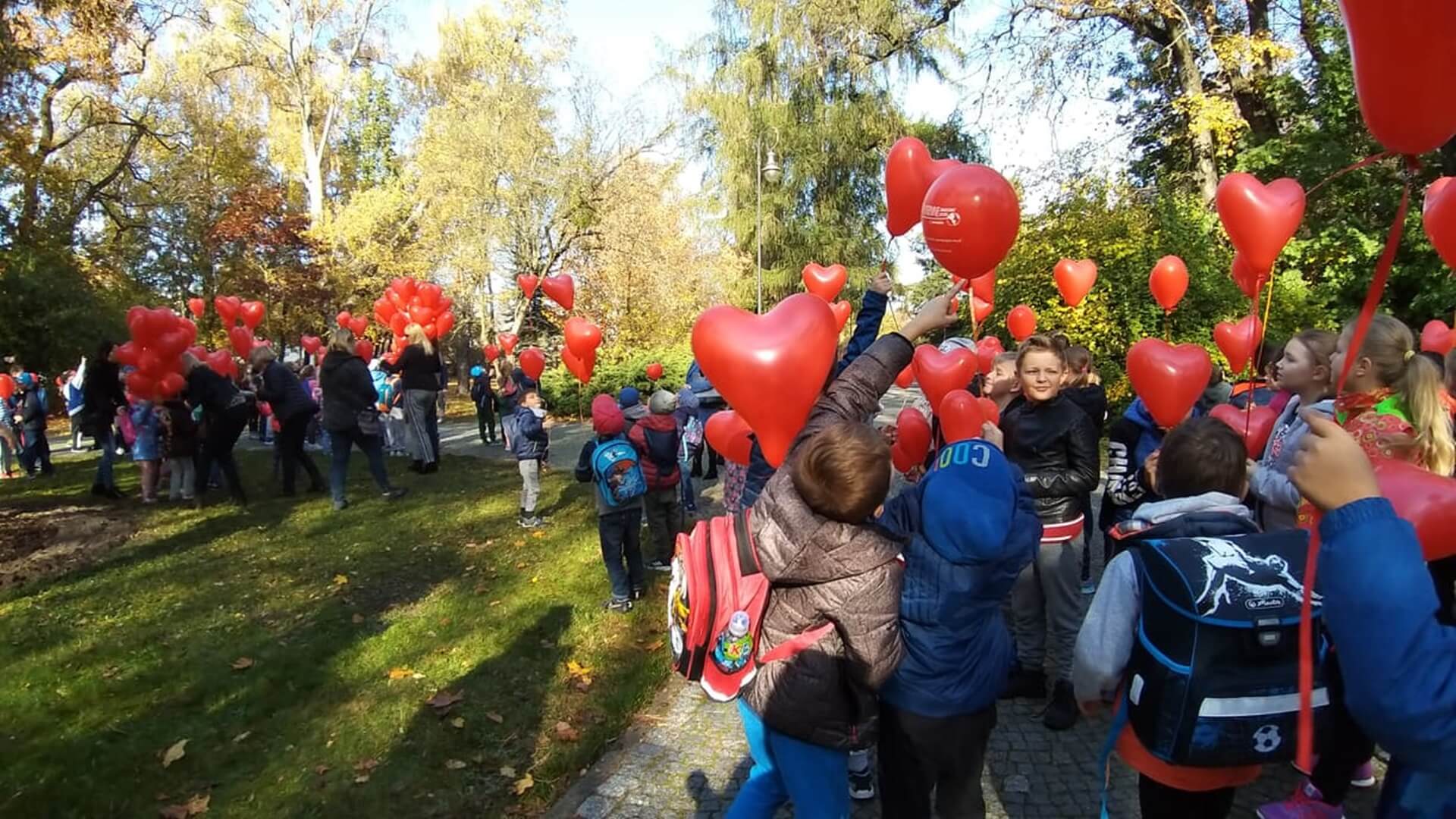 "Tulipany mocy" – akcja wsparcia dzieci z dystrofią mięśniową