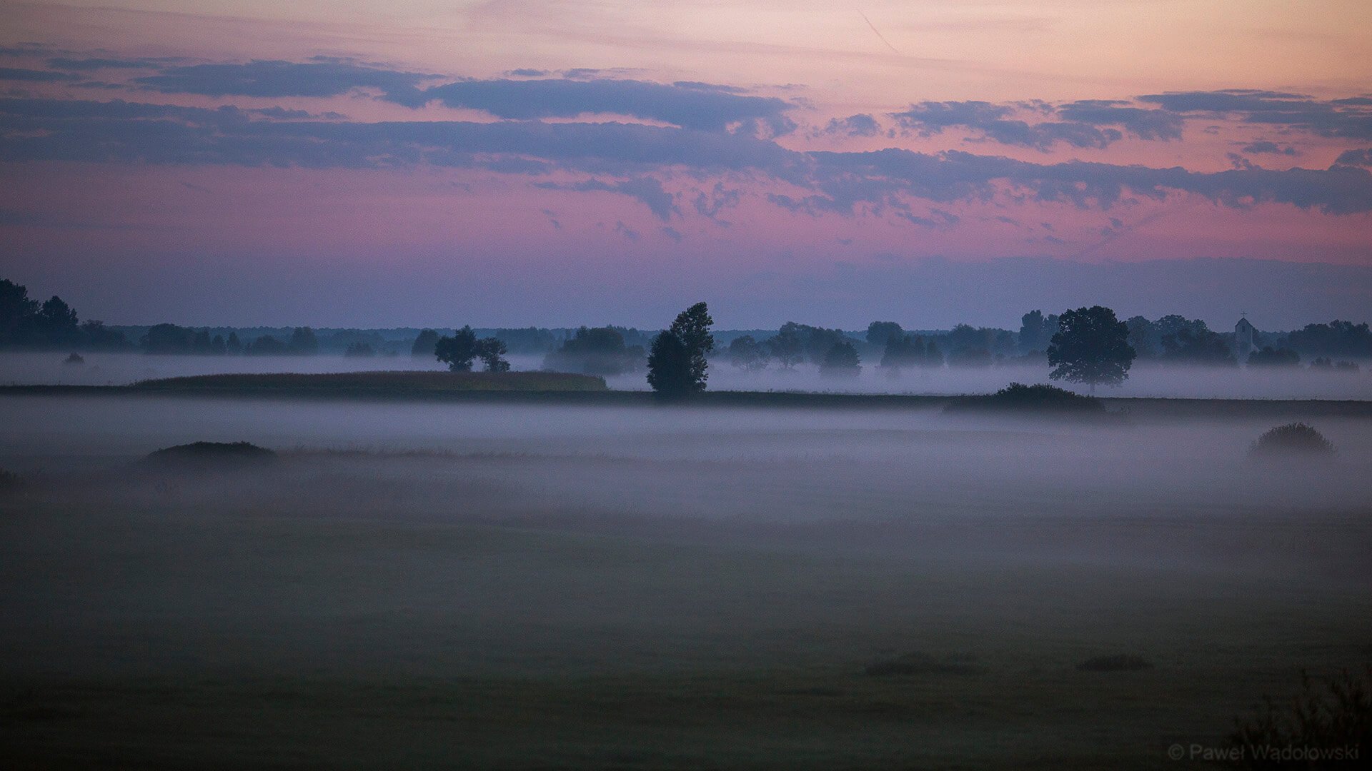 "Biebrzańskie drogi. Między niebem a ziemią" - nowy album fotograficzno-literacki