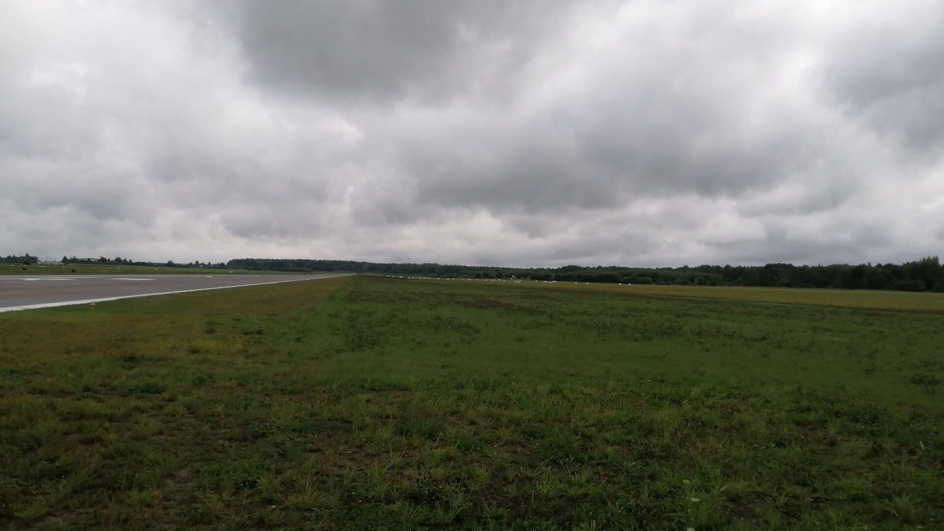 Społecznicy domagają się rozmów z władzami Białegostoku na temat lotniska na Krywlanach
