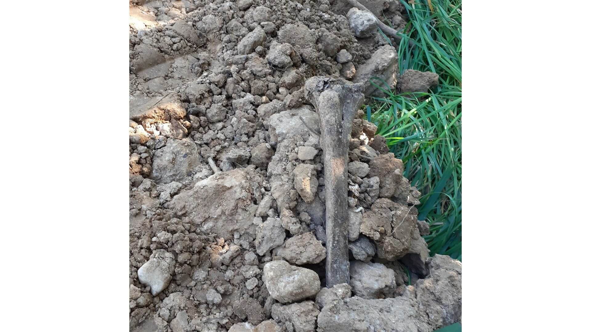 Właściciele działki w Białogórach, zapewniają że nie wiedzieli o dawnej nekropolii