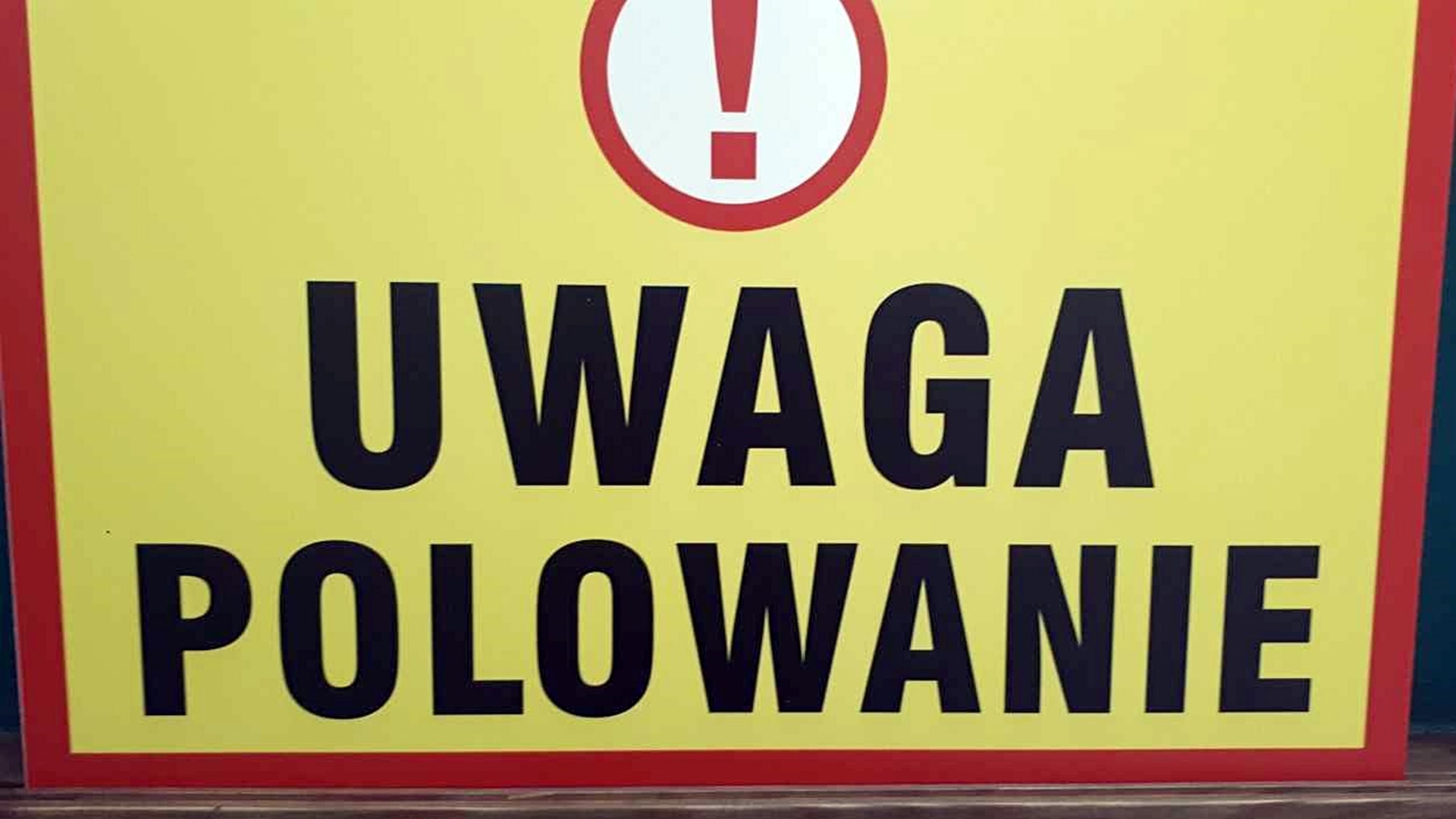 Myśliwi inaugurują sezon jesienno-zimowych polowań