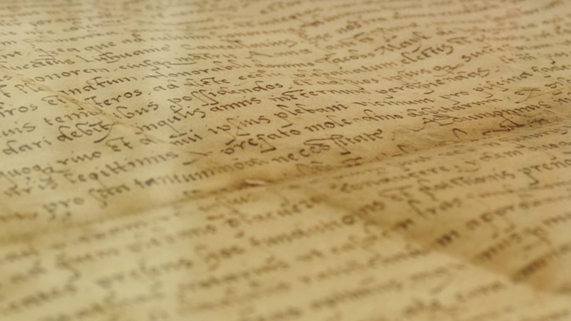 Pół miliona zdigitalizowanych poloników z Mińska i Lwowa przekazali historycy UwB do Archiwum Państwowego