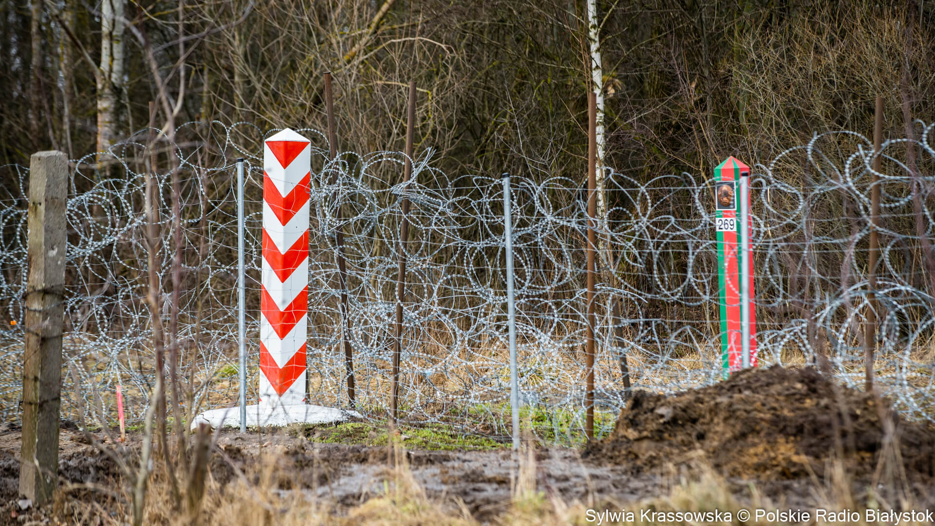 Minionej doby 51 osób próbowało nielegalnie przekroczyć polsko-białoruską granicę
