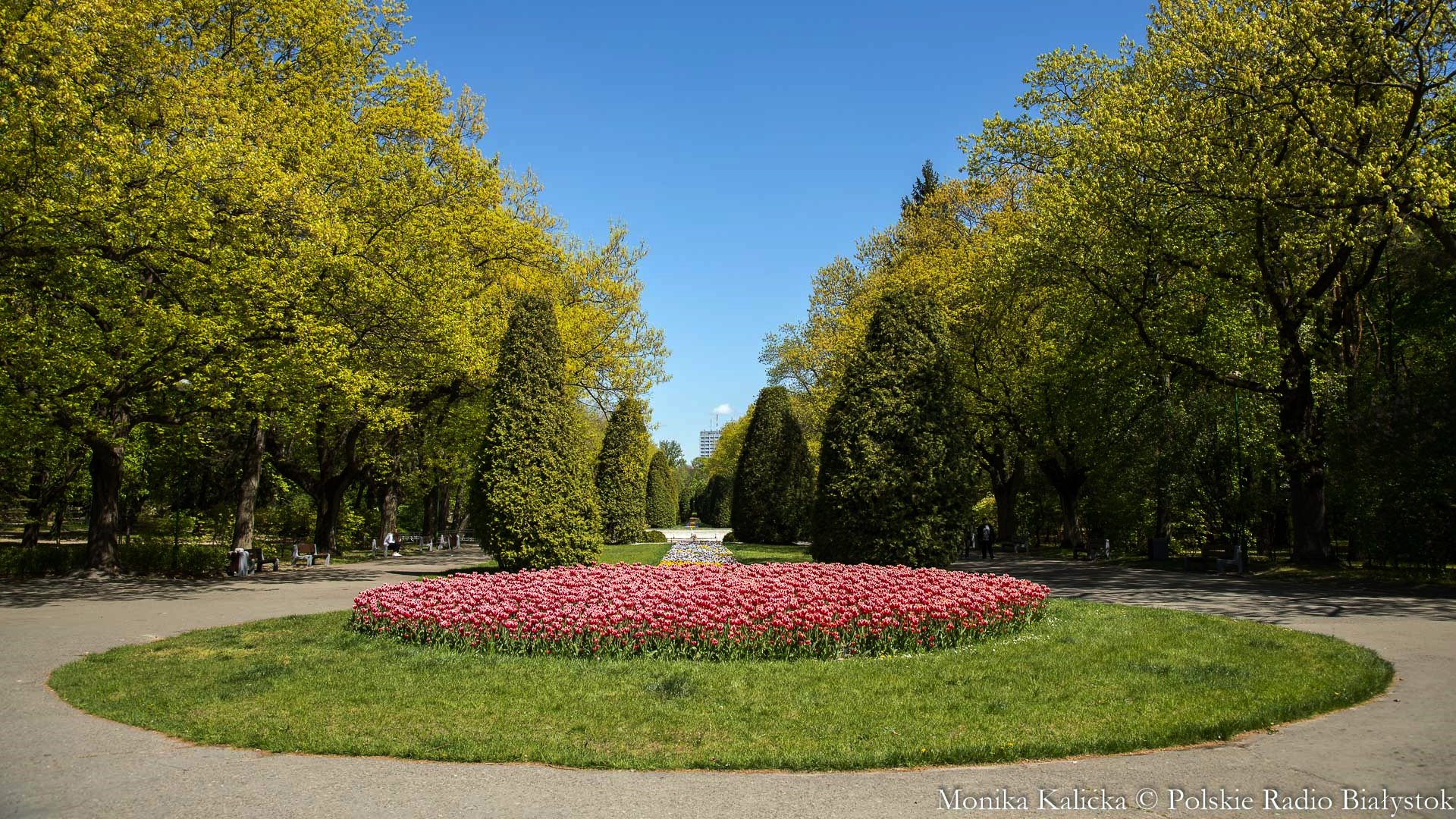 Nowe alejki, rośliny, wymiana oświetlenia - takie zmiany czekają Park Planty w Białymstoku