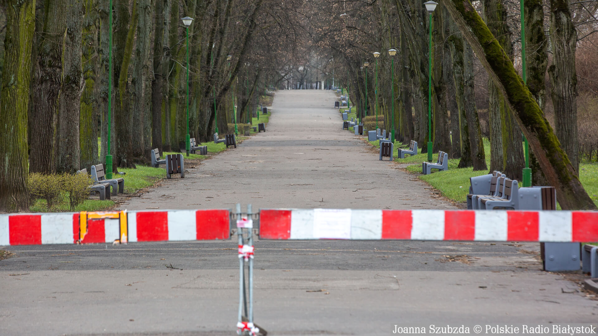 Prof. Antczak: w Polsce potrzebny jest krótki, ale całkowity lockdown