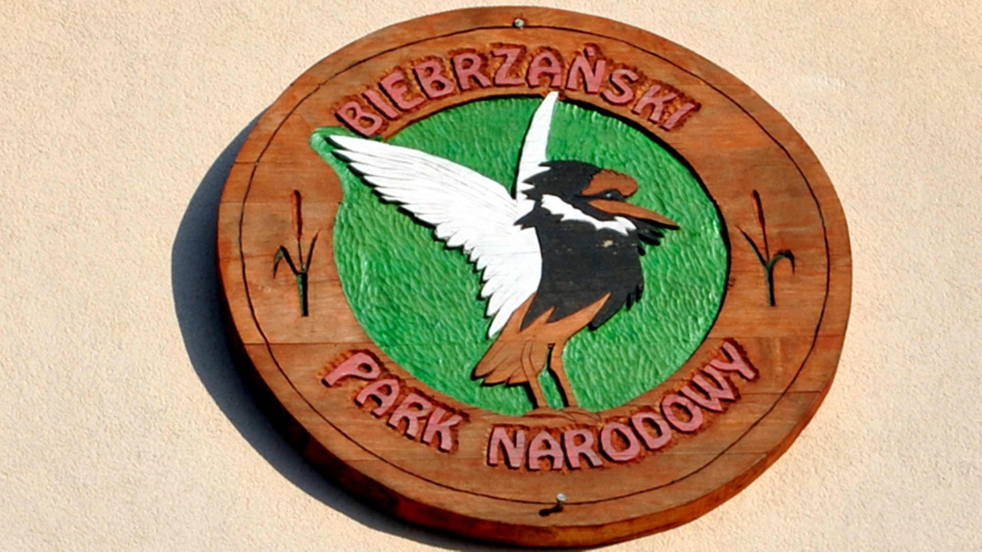 Biebrzański Park Narodowy zaprasza na szlaki także w okresie świątecznym