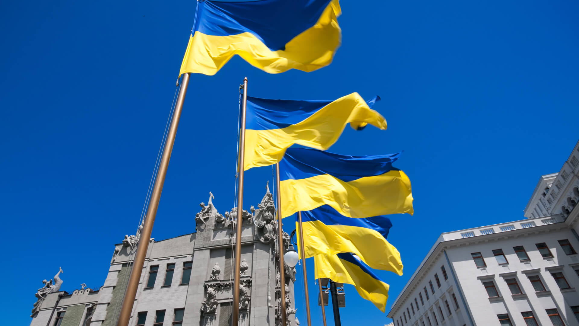 "Suwałki na pomoc Ukrainie". Tak brzmi tytuł koncertu dobroczynnego, który odbędzie się w najbliższą niedzielę