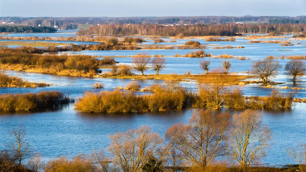 Światowy Dzień Mokradeł