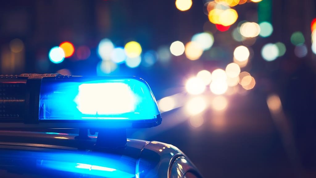 Wypadek na trasie Grajewo - Augustów - łoś uderzył w auta