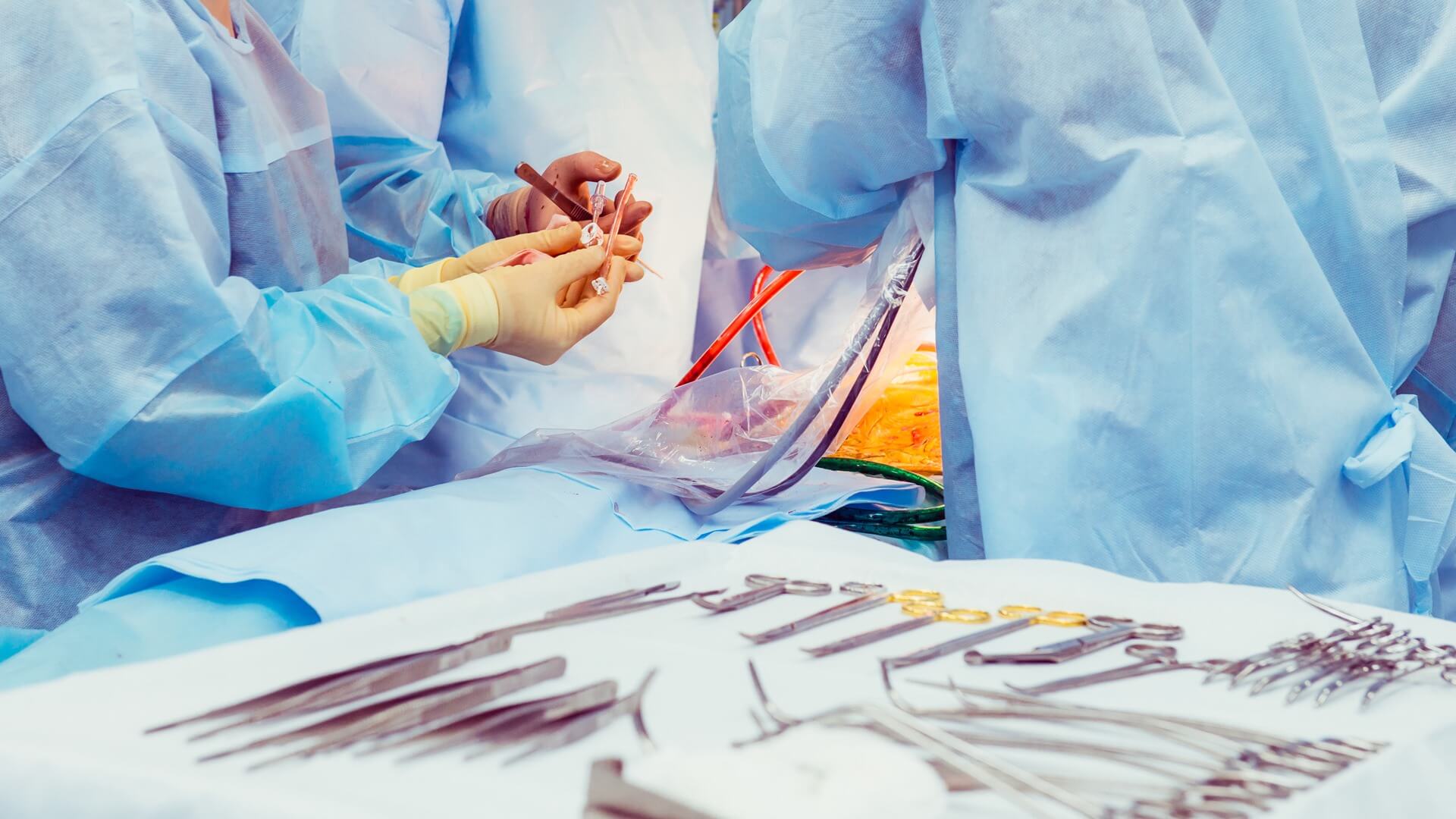 Transplantologia to walka z czasem. 26 stycznia jest Ogólnopolskim Dniem Transplantacji