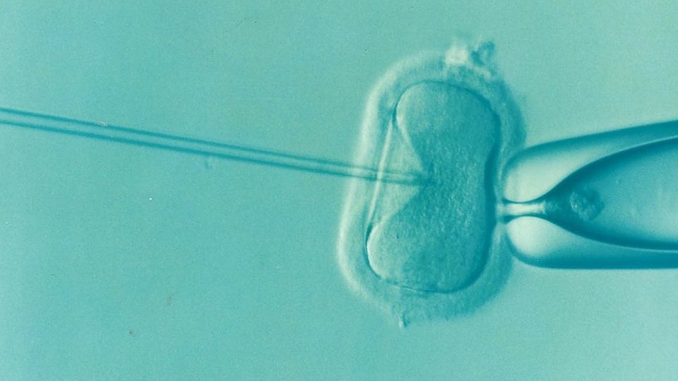 Dofinansowanie nocnych dyżurów aptek zamiast in vitro? To pomysł części radnych
