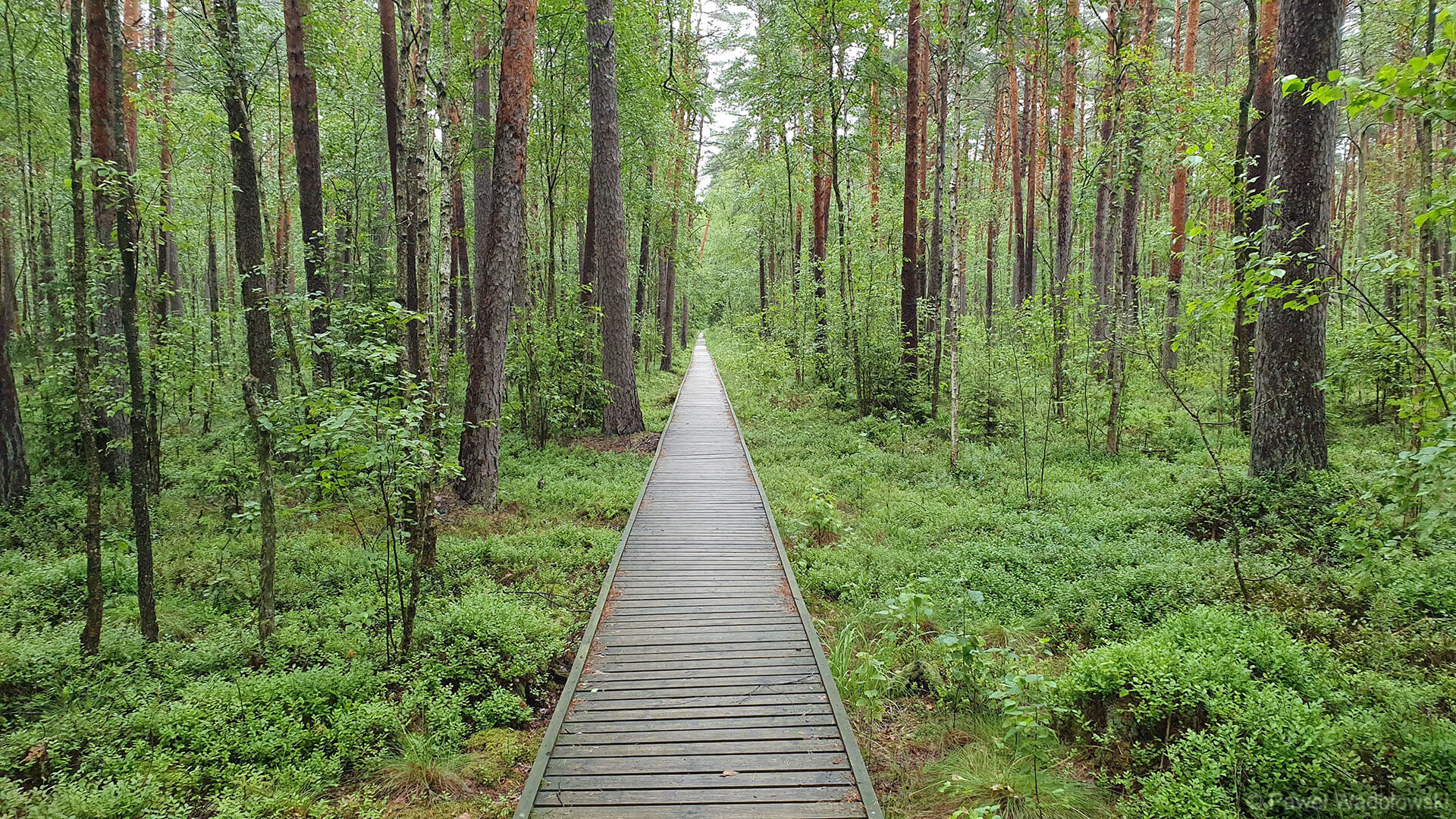 Biebrzański Park Narodowy chwali turystów za porządek po majówce