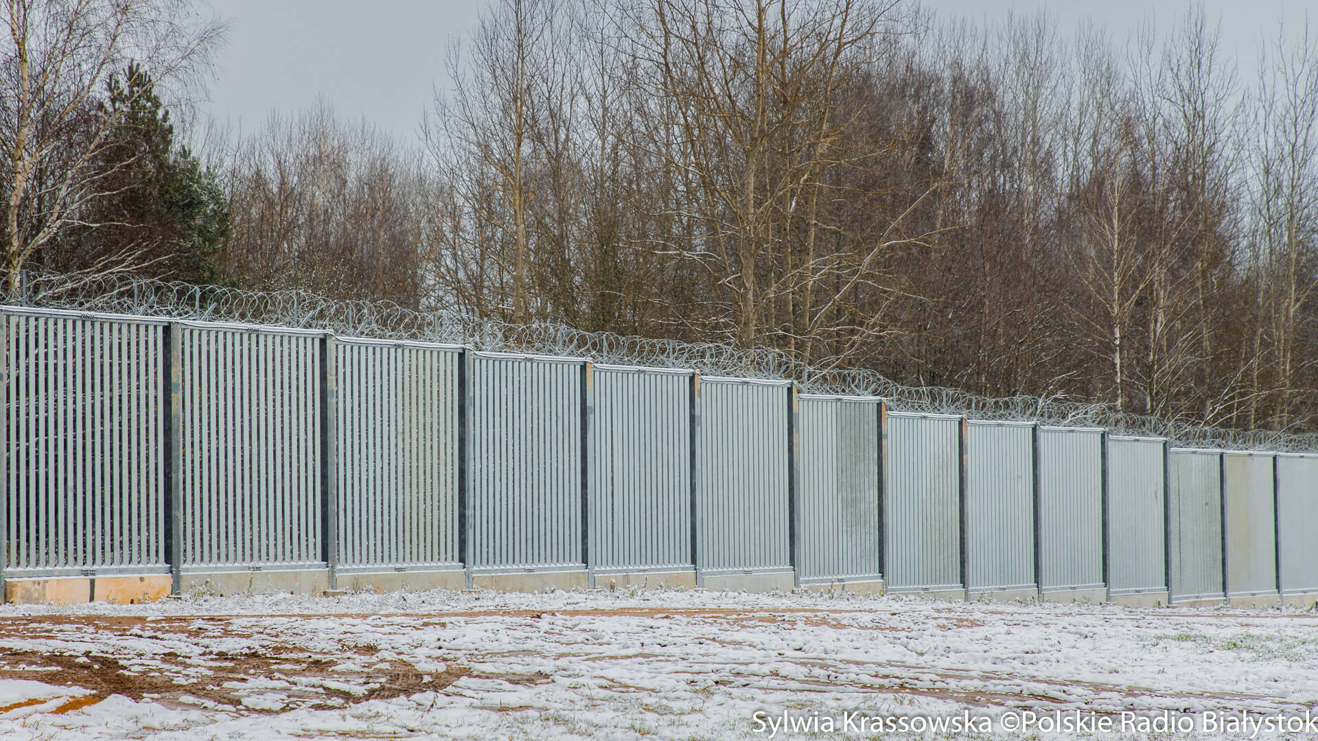 Blisko 50 osób chciało nielegalnie dostać się z Białorusi do Polski