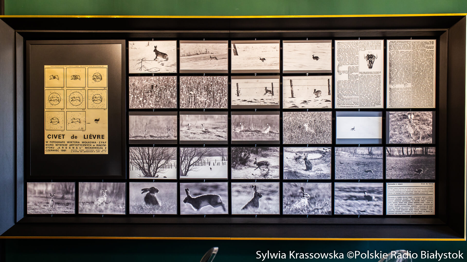 Muzeum Wołkowa zaprasza na pierwszą wystawę