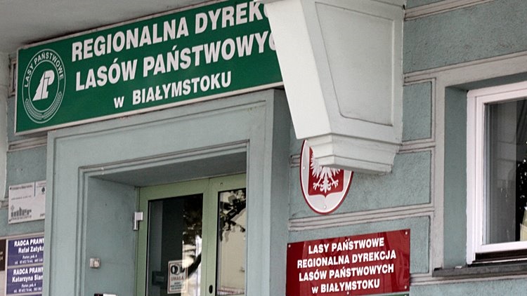 Plan Urządzania Lasu dla nadleśnictwa Dojlidy. Kończy się czas na zgłaszanie uwag