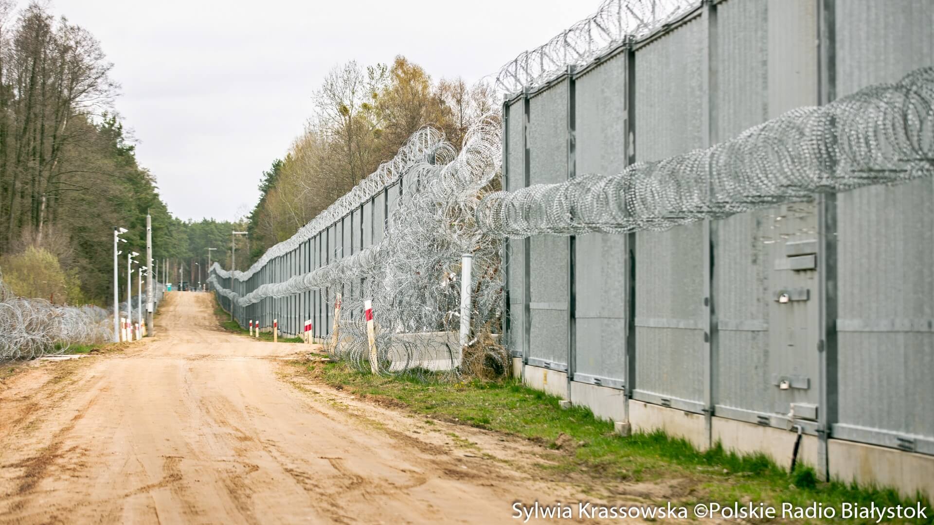 Kolejna agresywna próba przekroczenia granicy - strażnik ranny, migranci zatrzymani