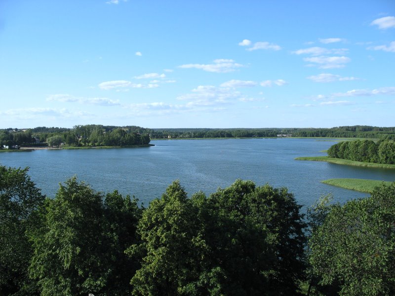 Region:  Kolonia lęgowa kormoranów na Wigrach
