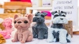 fot. Joanna Szubzda