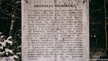 fot. Sylwia Krassowska