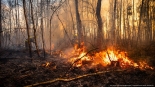 Pożar w Biebrzańskim Parku Narodowym, 20.04.2025, fot. mł. asp. Łukasz Rutkowski/Państwowa Straż Pożarna