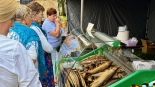 Święto Siei w Wigrach, 13.09.2025, fot. Anna Auron-Wasilewska
