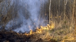 Pożar w Biebrzańskim Parku Narodowym, 20.04.2025, fot. Paweł Wądołowski