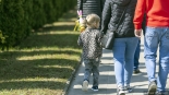 Korowód z wielkanocnymi palmami przeszedł przez Zbójną, 13.04.2025, fot. Paweł Wądołowski