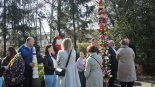 Niedziela Palmowa w Ciechanowcu. Ponad 500 palm na procesji, 13.04.2025, fot. Adam Dąbrowski