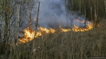 Pożar w Biebrzańskim Parku Narodowym, 20.04.2025, fot. Paweł Wądołowski